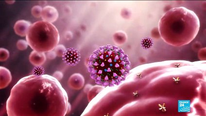 Coronavirus outbreak: Everything you need to know about COVID-19