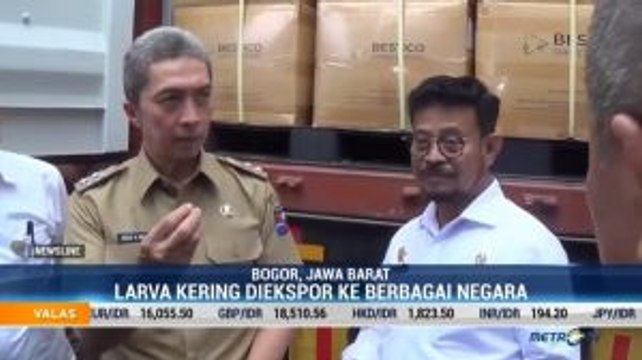 Indonesia Ekspor Perdana Larva Kering ke Inggris