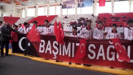 Yıldızlar Türkiye Serbest Güreş Grup Müsabakaları başladı