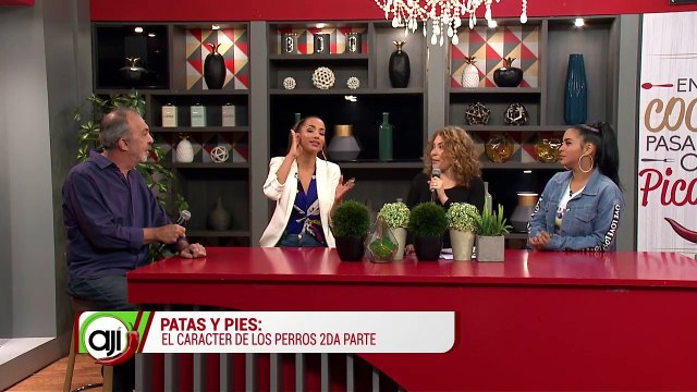 Patas y pies | El caracter de los perros (2da Parte) - Nex Panamá