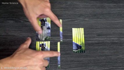 03.17 AMAZING SCIENCE EXPERIMENTS AND TRICKS! Compilation