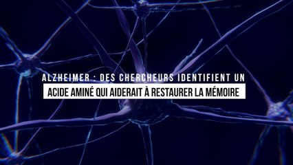 Alzheimer : des chercheurs identifient un acide aminé qui aiderait à restaurer la mémoire