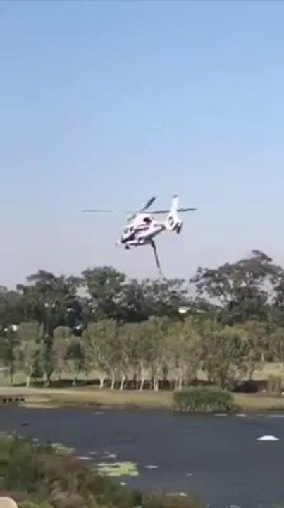 wow wow this is so cool