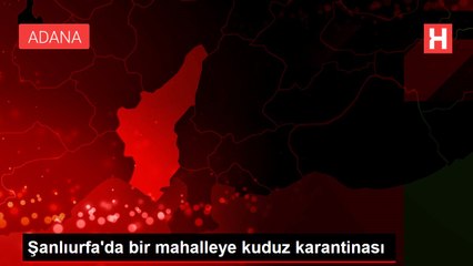 Şanlıurfa'da bir mahalleye kuduz karantinası