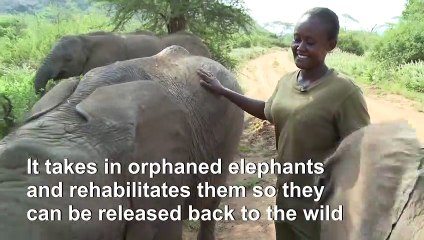 Kenya elephant sanctuary takes lead in hiring women