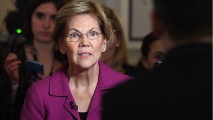 Warren Hits At Sanders Supporters
