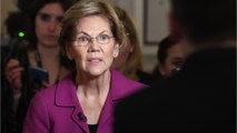 Warren Hits At Sanders Supporters
