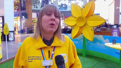 Marie Curie Daffodil Appeal