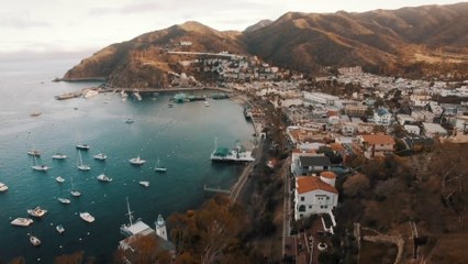 Invitation To Learn How I Built My Internet Business