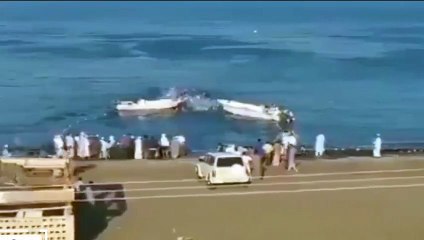 Dünya gündemine oturan görüntüler! Balıklar, balıkçılara saldırdı, ölüler var