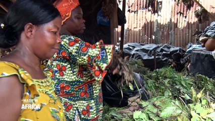 Made In Africa : Le business de la médecine traditionnelle en Côte d'Ivoire