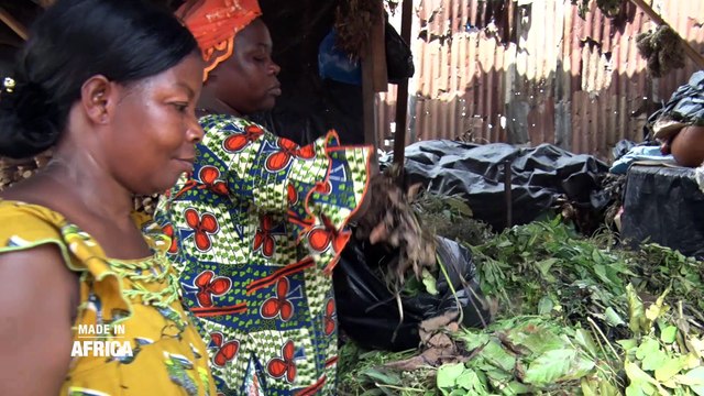 Made In Africa : Le business de la médecine traditionnelle en Côte d'Ivoire