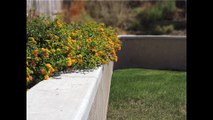 San Diego Kitchen Remodel Bathroom Remodel Retaining Wall