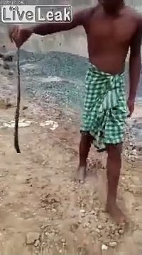 Il essaye d'attraper un serpent.. FAIL LOL