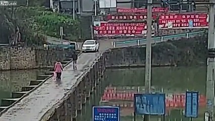 Il tombe à l'eau en voiture après avoir eu son permis !