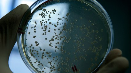Gut Bacteria May Bolster Cancer Treatments