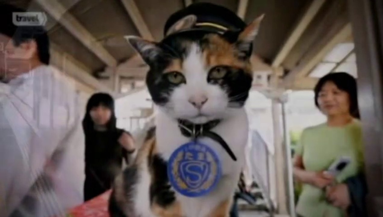 Zа'наdу мųżeí 18 #13: Nejšťastnější kočka Lucy (železniční část, CZ)