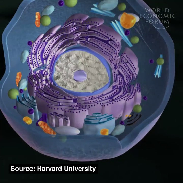Jeûner est-il vraiment bon pour la santé