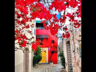 Bonjour, bonjour et excellente journée à toutes et à tous ☕️❤️ #Tunisie #SidiBousaid