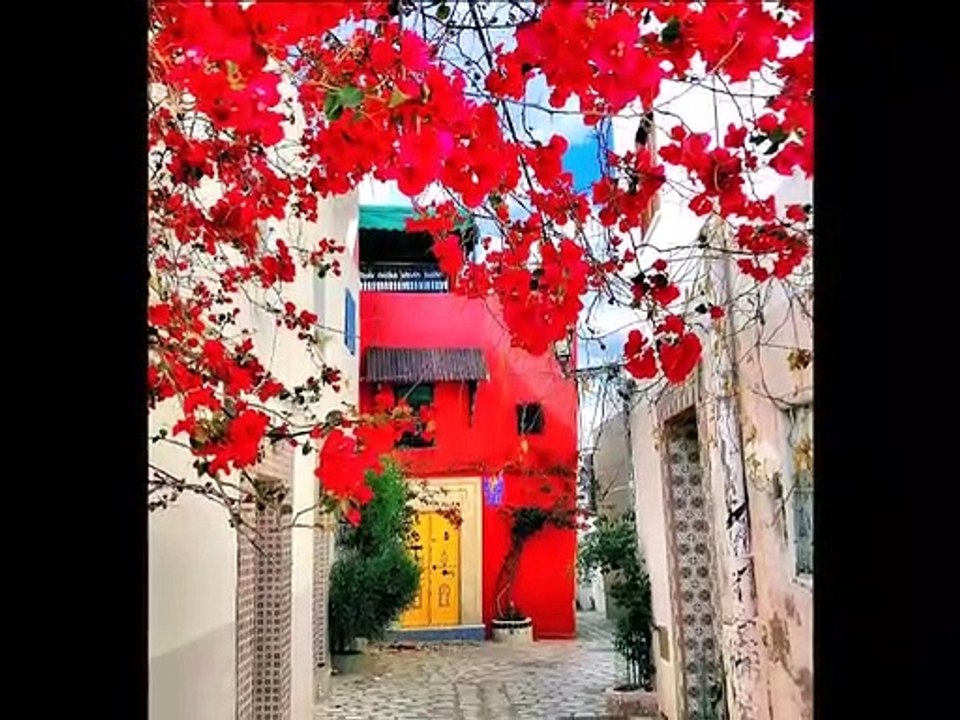 Bonjour, bonjour et excellente journée à toutes et à tous ☕️❤️ #Tunisie #SidiBousaid