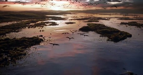 Le Roi lion (2019) - Bande annonce