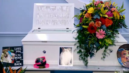 WhatsApp Video 2020-03-06 at 6.43.51 PM