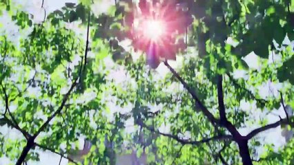 [ENG SUB] Hero Dog Xiaoqi 03 (Hayden Kuo, Kingscar Jin)