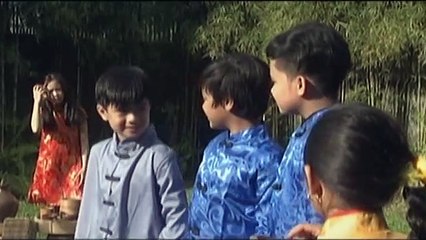 Kung Fu Palda