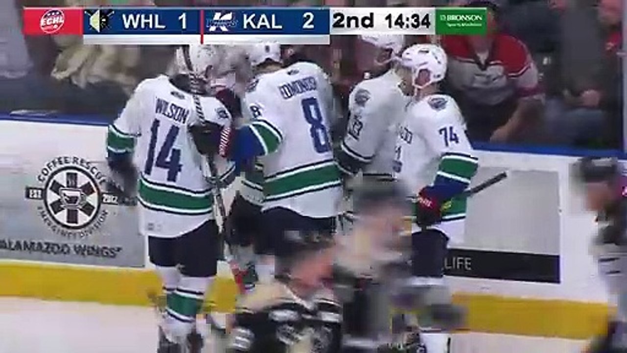 Game Recap Wheeling Nailers at Kalamazoo Wings video Dailymotion