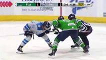 Game Recap - Florida Everblades at Jacksonville IceMen