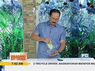 Di Ba Teh at Kuya? Love Life o Carrer?