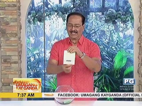 Di Ba Teh At Kuya? Nagmumurang kamias si Honey? Okay o Okray?