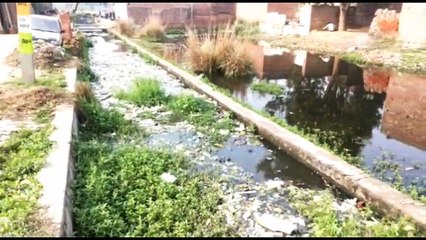इटावा: बकेवर में गंदगी का अंबार, अधिकारी देखकर भी अनजान