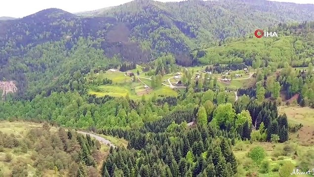 Oda yeri yaylası doğal güzellikleri ile öne çıkıyor