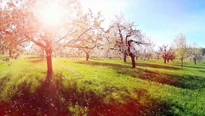 These Are Best 5 Day Trips from New York City