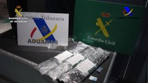 Detenido con 5 kilogramos de cocaína en el Aeropuerto de Loiu