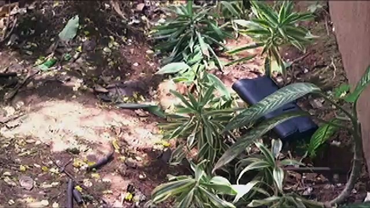 Ivy, nag-alala sa kalagayan ni Jepy