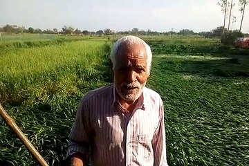 अयोध्या: मूसलाधार बारिश से लोग परेशान, किसान निराश