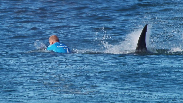 Un homme sauvé par une morsure de requin. Découvrez pourquoi….