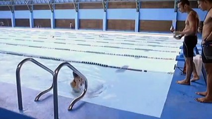 Carlos, napansin ang pag-iwas sa kanya ni Bianca