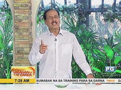 Di Ba Teh At Kuya? Sino ang mas mabilis tumanda, lalaki o babae?