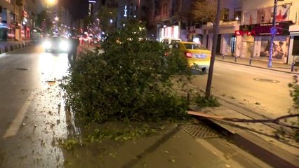 Şişli'de kontrolden çıkan otomobil refüjdeki ağaçlara çarptı