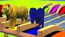 Learn Colors With Animal - Learn Wild Animals Swimming Race In Outdoor Playground For Kids - Color Animals Water Slide Cartoons