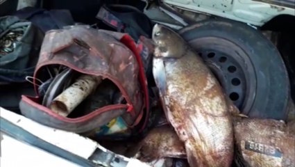 Quatro são detidos após invadir pesque pague e pescar cerca de 100 quilos de peixes