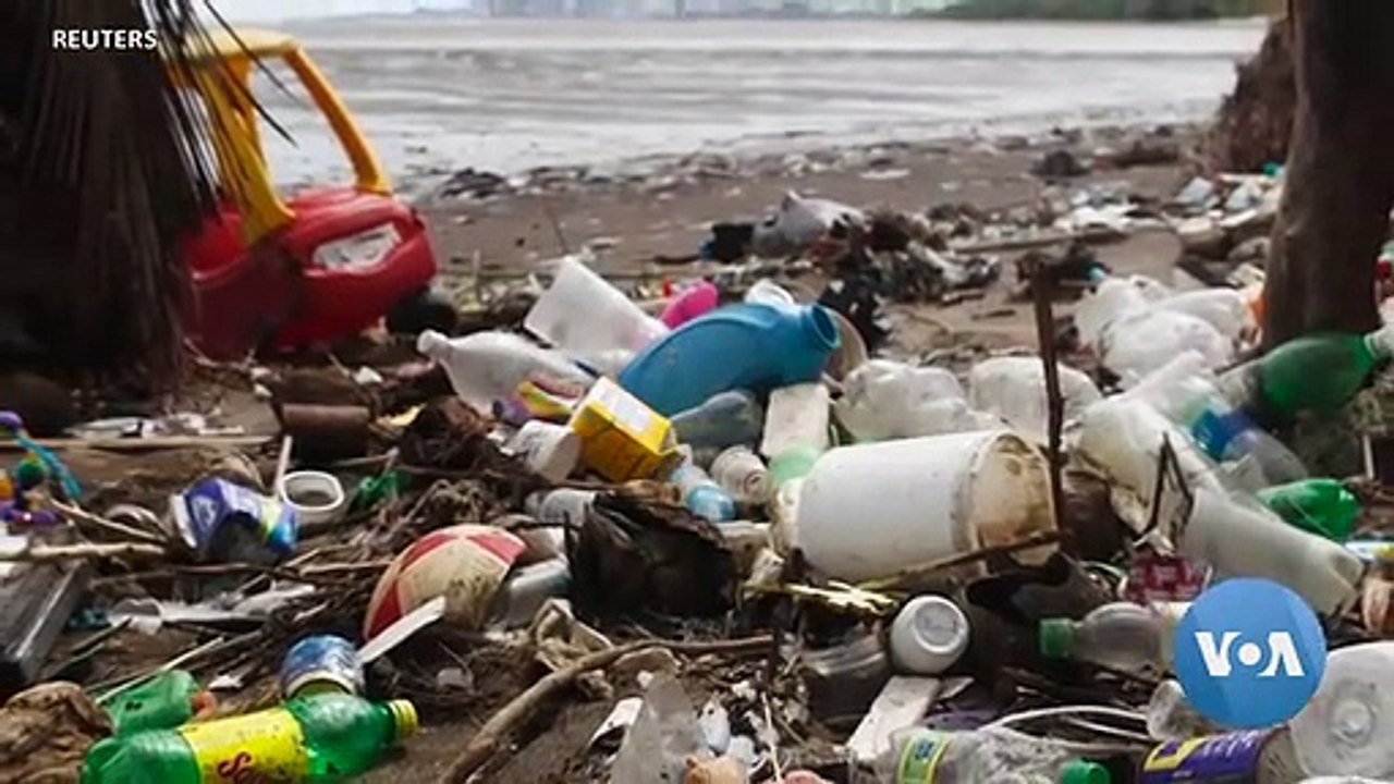 Here are Some Alternatives to Plastic Products