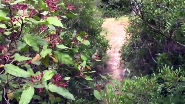 (Bonus 10) ~ Les manipulations du 'Diable' (1-4)