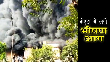 Noida स्थित प्लास्टिक फैक्ट्री में लगी आग