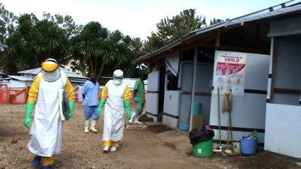 Ebola in Congo, Oms: "Servono 20 milioni di dollari"