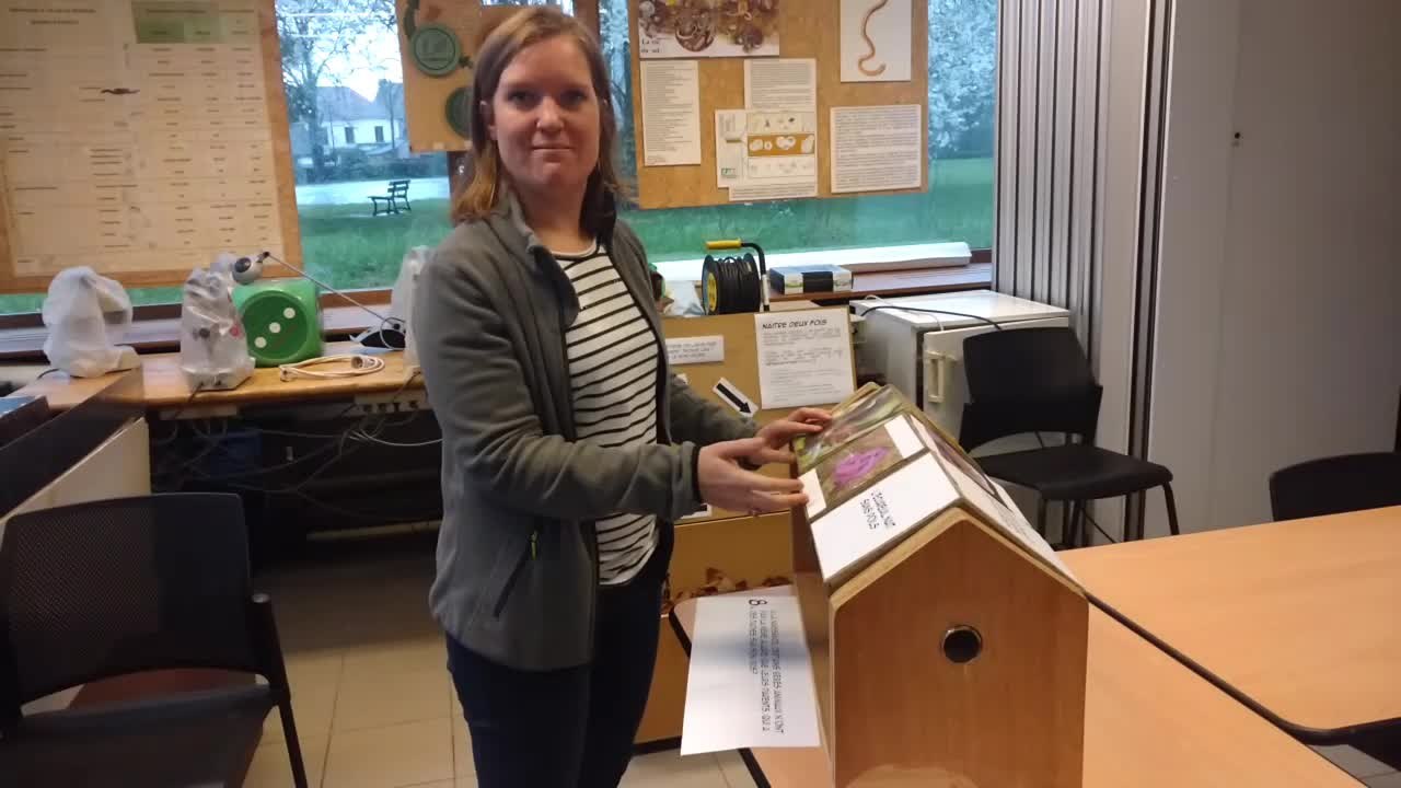 Tournaisis: le Parc naturel des Plaines de l'Escaut propose un parcours insolite parsemé d'énigmes