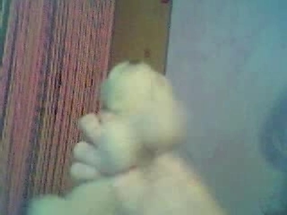 L'amour brille sous les étoiles